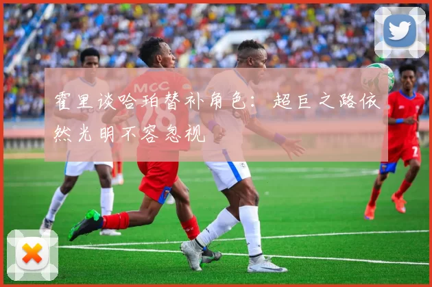 霍里谈哈珀替补角色：超巨之路依然光明不容忽视